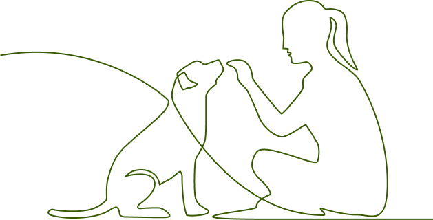 Titre de la card-list